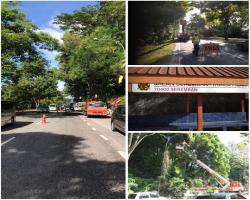 Hasil lawatan pemantauan oleh YBhg Datuk Bandar, kerja cantasan dilaksanakan di hadapan Klinik Kesihatan Ampangan Jalan Seremban - Kuala Pilah bagi memastikan cahaya lampu jalan tidak terhalang.