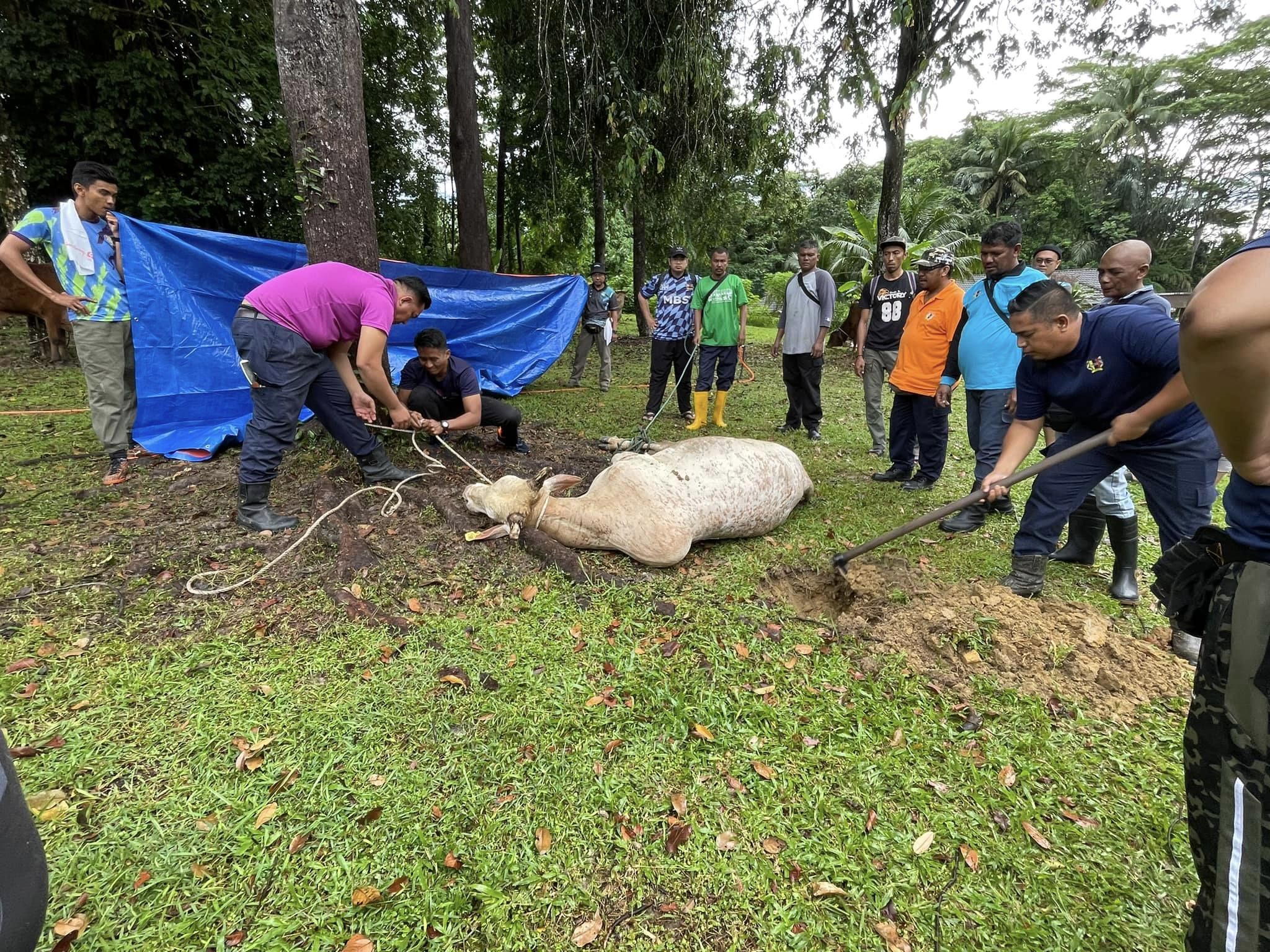 PROGRAM IBADAH KORBAN AIDIL ADHA 1445 HIJRAH ANJURAN BAKI MBS