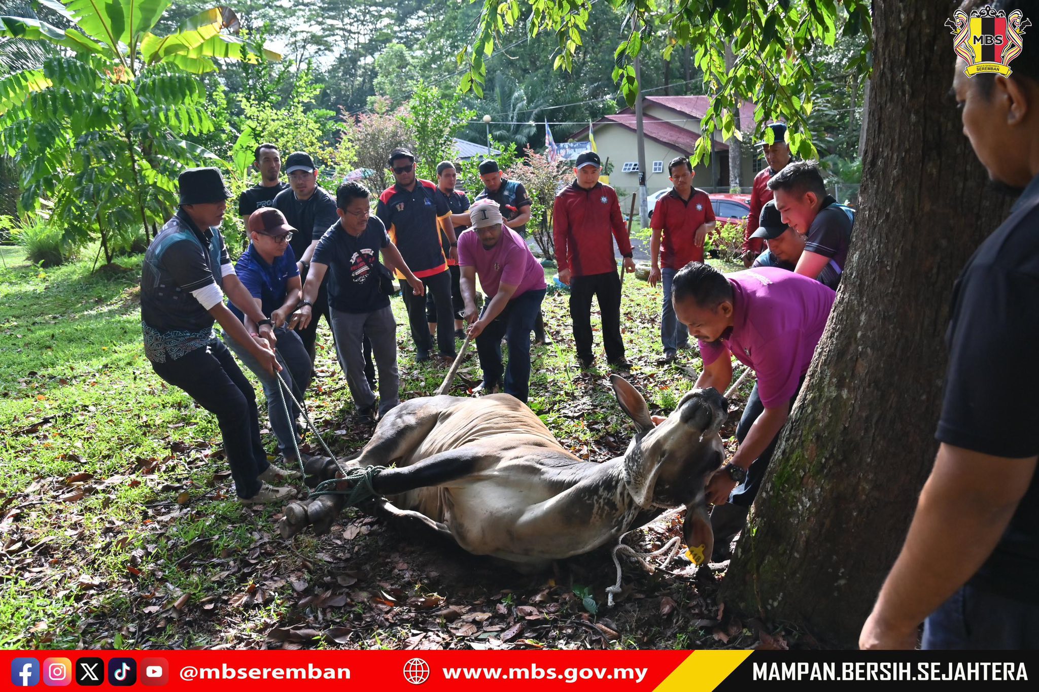 PROGRAM IBADAH KORBAN 1446H BAKI MBS