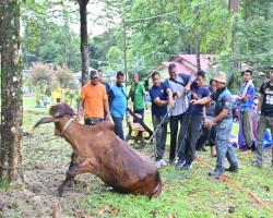 PROGRAM IBADAH KORBAN AIDIL ADHA 1445 HIJRAH ANJURAN BAKI MBS