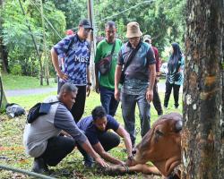 PROGRAM IBADAH KORBAN AIDIL ADHA 1445 HIJRAH ANJURAN BAKI MBS