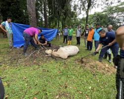 PROGRAM IBADAH KORBAN AIDIL ADHA 1445 HIJRAH ANJURAN BAKI MBS