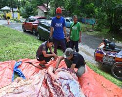 PROGRAM IBADAH KORBAN AIDIL ADHA 1445 HIJRAH ANJURAN BAKI MBS