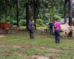 PROGRAM IBADAH KORBAN AIDIL ADHA 1445 HIJRAH ANJURAN BAKI MBS