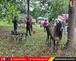 PROGRAM IBADAH KORBAN 1446H BAKI MBS