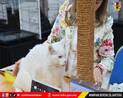 PERTANDINGAN & PERTUNJUKAN KUCING SEMPENA ULANG TAHUN KE-5 MAJLIS BANDARAYA SEREMBAN 2025