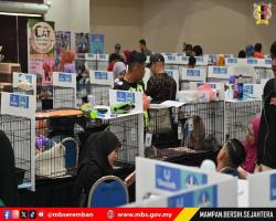 PERTANDINGAN & PERTUNJUKAN KUCING SEMPENA ULANG TAHUN KE-5 MAJLIS BANDARAYA SEREMBAN 2025