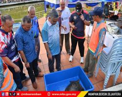 CABARAN NGAIL NISMILAN 2025