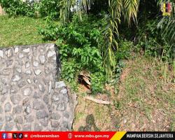 LAWATAN TURUN PADANG DATUK BANDAR KE MEDAN SELERA PENGHULU CANTIK